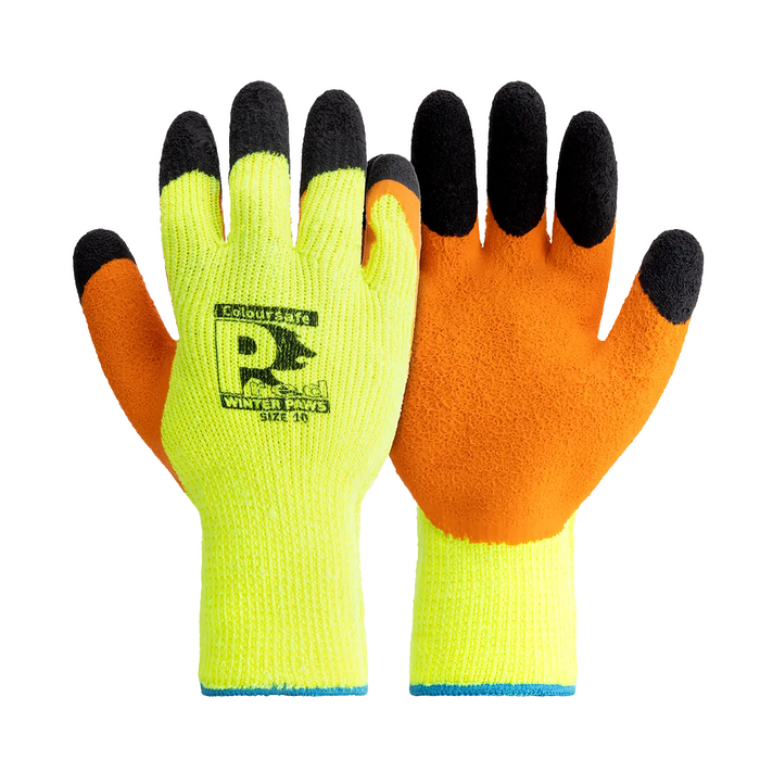 Pred Winter Paws Coloursafe Cut Glove | Predator by RON