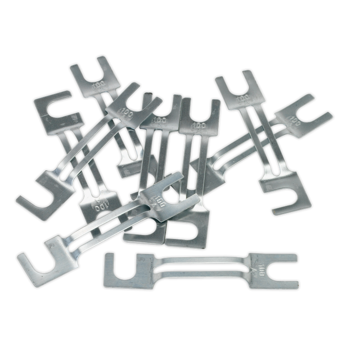100A Fuse 99 x 20mm, Large - Pack of 10 | 120/802131