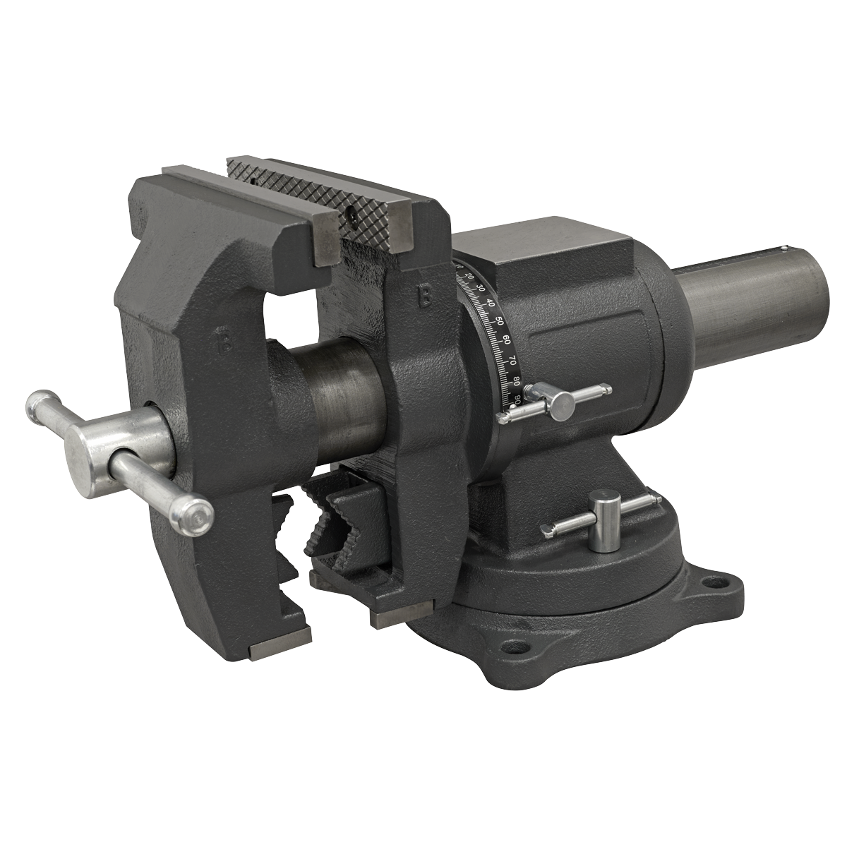 Multifunction Cast Iron Vice with Swivel Base 150mm | MFV150 — SBT Ltd.