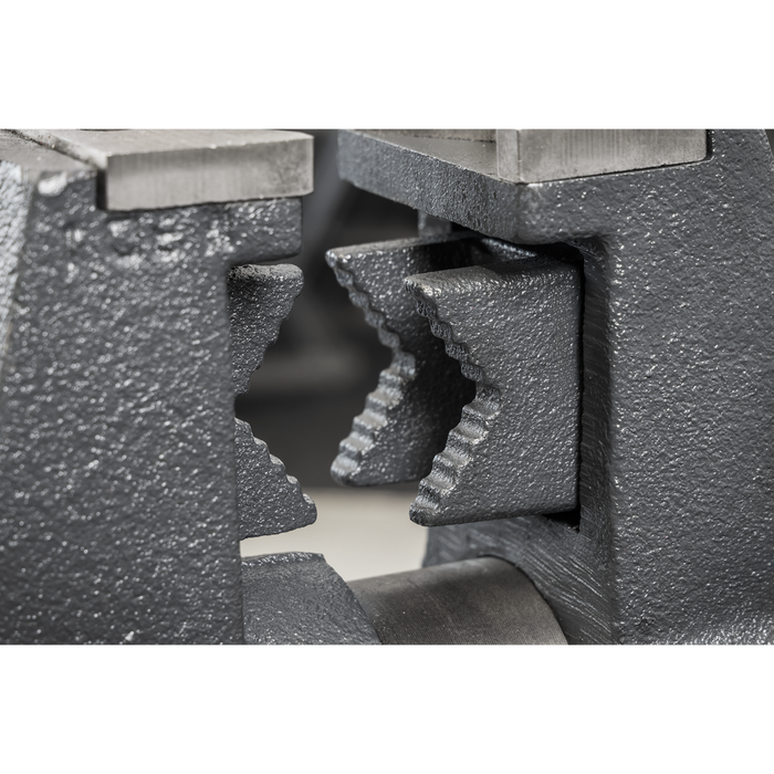Multifunction Cast Iron Vice with Swivel Base 150mm | MFV150