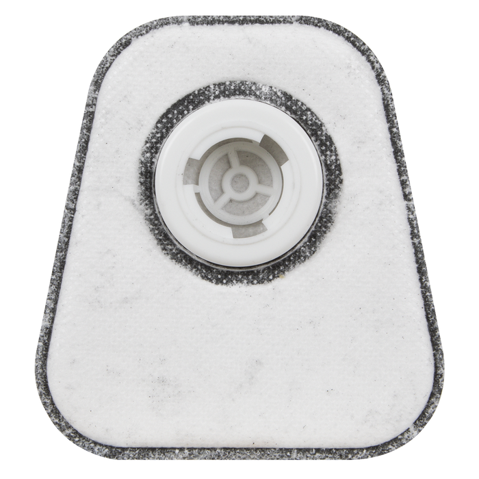 A P3 R Particulate Filter - Pack of 2 | 9008