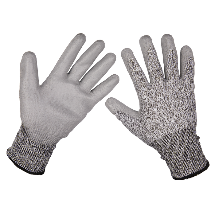 Worksafe® Anti-Cut PU Gloves (Cut Level C), Large - Pair | 9139L