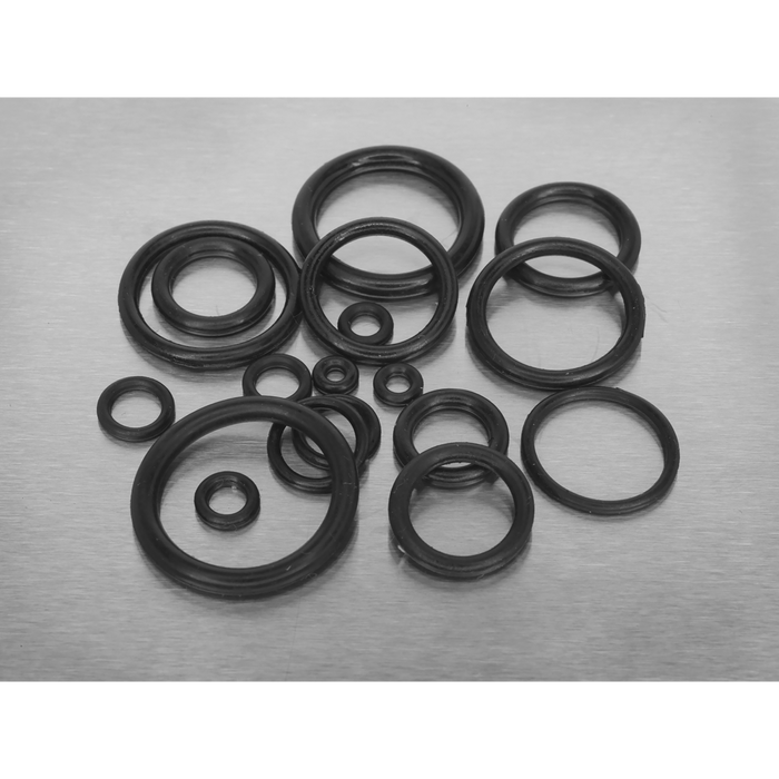 Rubber O-Ring Assortment 225pc | AB004OR