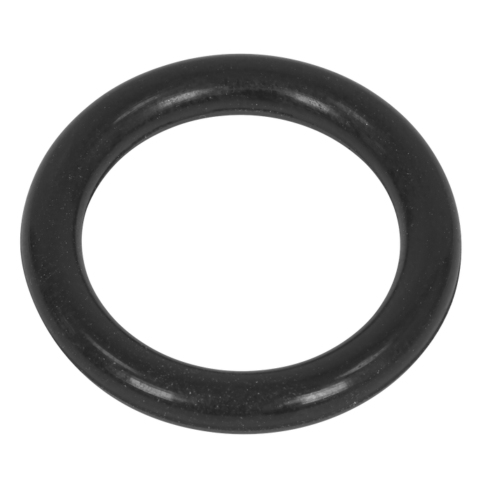 Rubber O-Ring Assortment 225pc | AB004OR