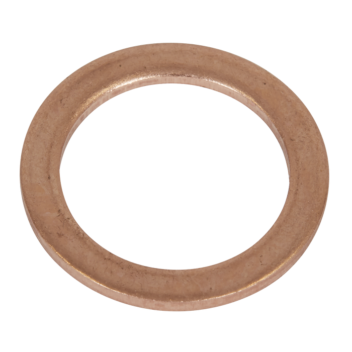Copper Sealing Washer Assortment 250pc | AB020CW