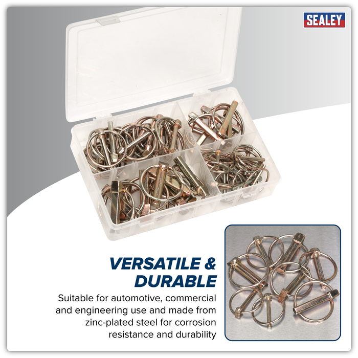 Linch Pin Assortment 50pc | AB022LP