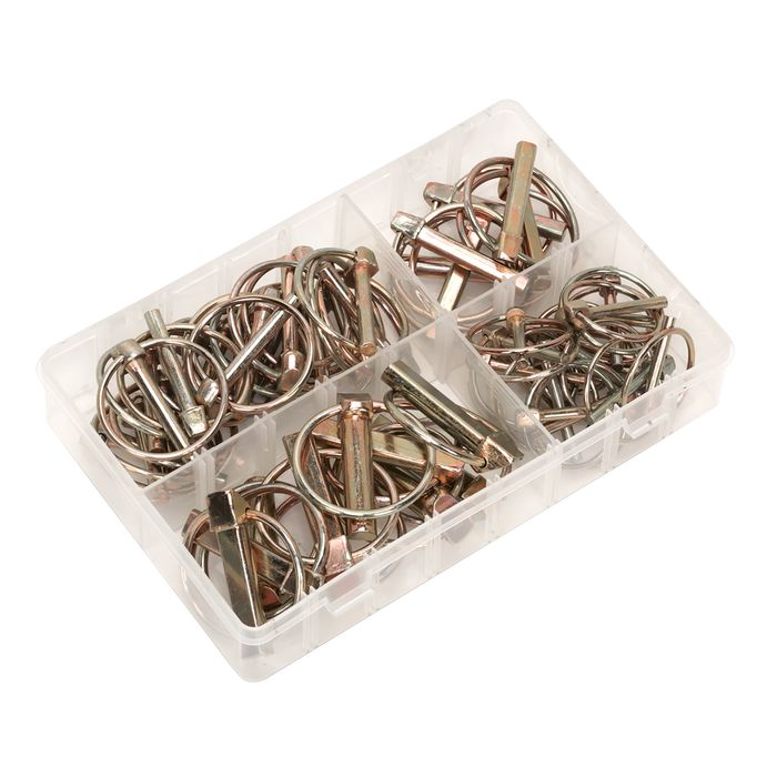 Linch Pin Assortment 50pc | AB022LP