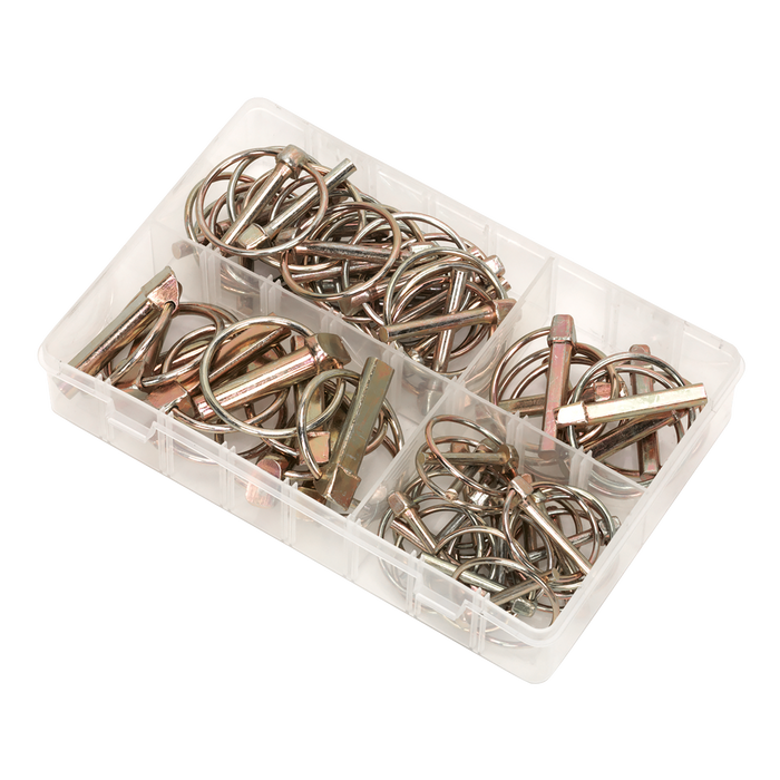 Linch Pin Assortment 50pc | AB022LP