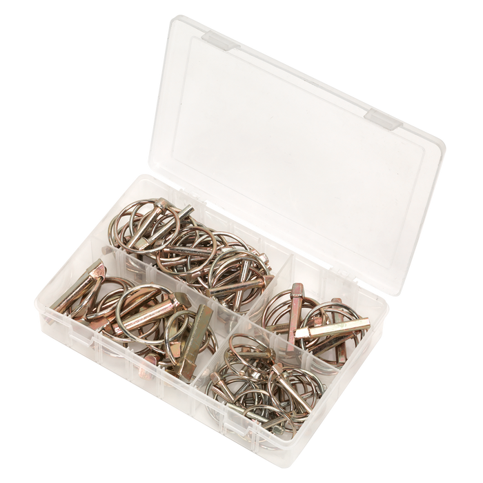 Linch Pin Assortment 50pc | AB022LP