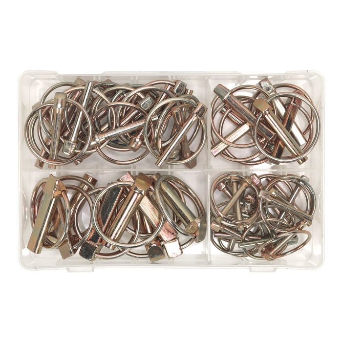 Linch Pin Assortment 50pc | AB022LP