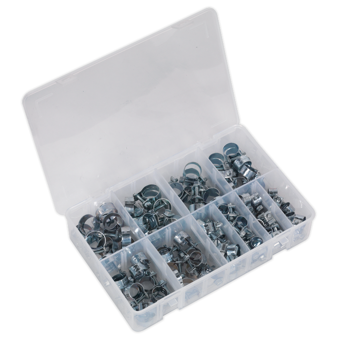 Mini Hose Clip Assortment 100pc | AB042MH