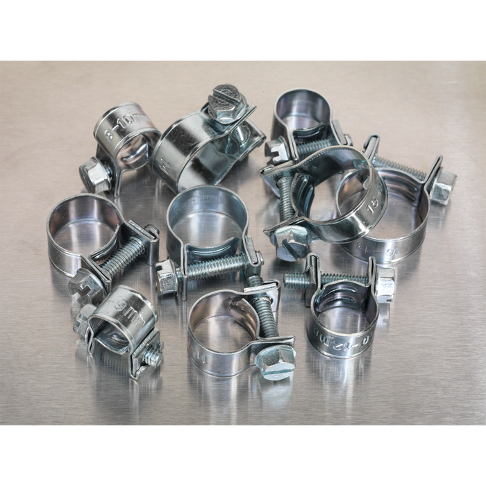 Mini Hose Clip Assortment 100pc | AB042MH