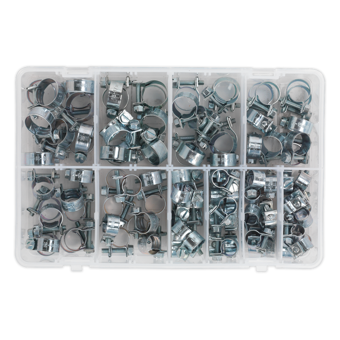 Mini Hose Clip Assortment 100pc | AB042MH