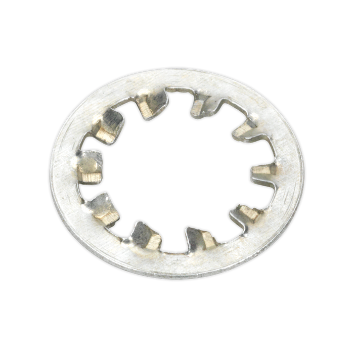 Internal Serrated Lock Washer Assortment M5-M10 1000pc | AB057LW