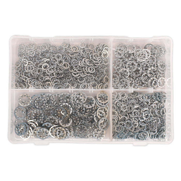 Internal Serrated Lock Washer Assortment M5-M10 1000pc | AB057LW