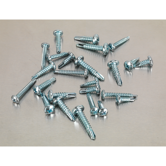 Zinc Plated Self-Drilling Pan Head Phillips Screw Assortment 500pc | AB060SDS