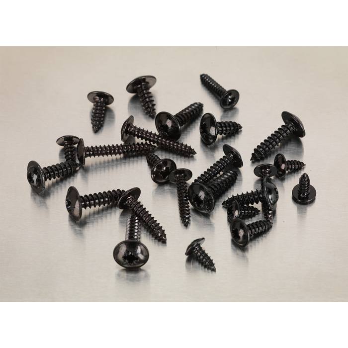 Self-Tapping Flanged Head Screw Assortment 700pc | AB066STBK