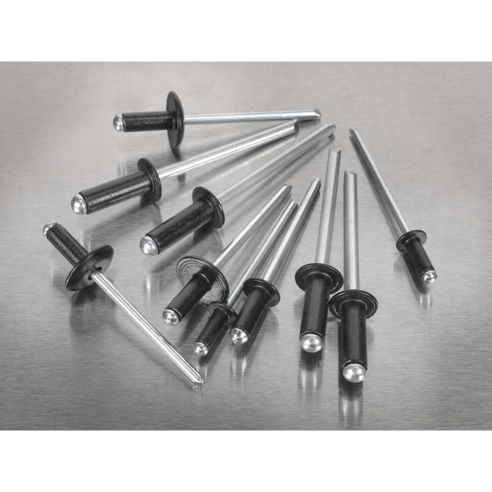 Black Anodised Rivet Assortment 200pc | AB074BR