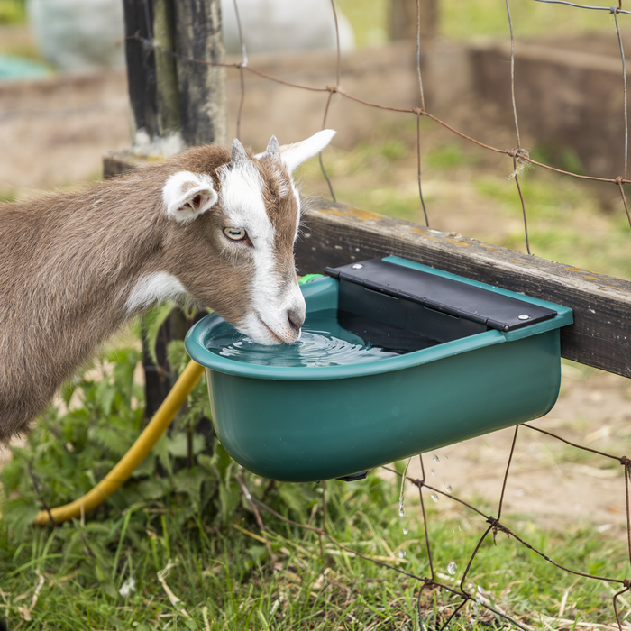 Automatic Cattle Drinking Bowl 4L | AFT01