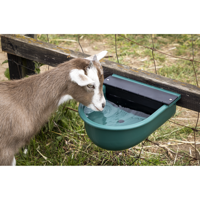 Automatic Cattle Drinking Bowl 4L | AFT01