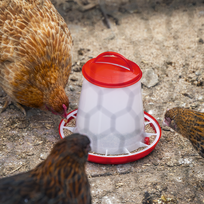 Poultry Feeder 1.5kg - Pack of 5 | AFT025