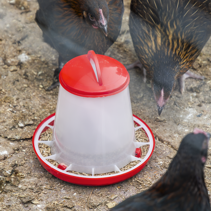 Poultry Feeder 1.5kg - Pack of 5 | AFT025