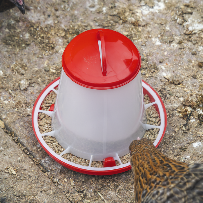 Poultry Feeder 1.5kg - Pack of 5 | AFT025