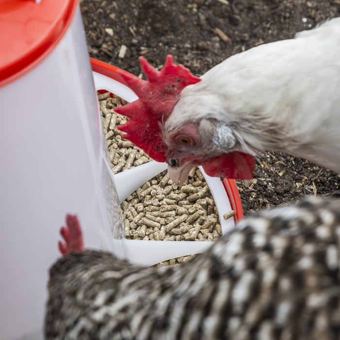 Poultry Feeder 1.5kg - Pack of 5 | AFT025