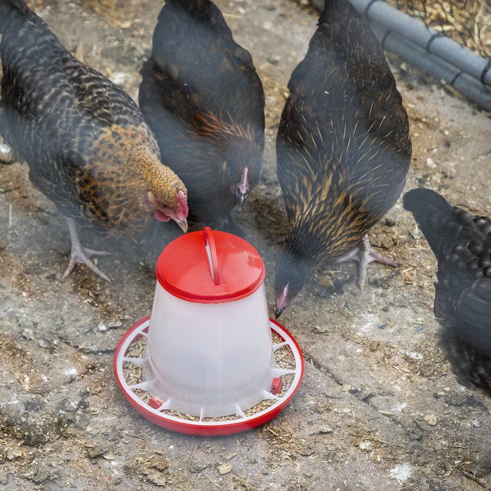 Poultry Feeder 1.5kg | AFT02