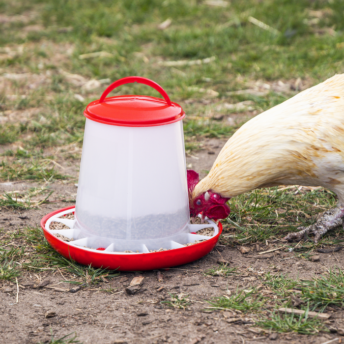 Poultry Feeder 3kg - Pack of 3 | AFT033