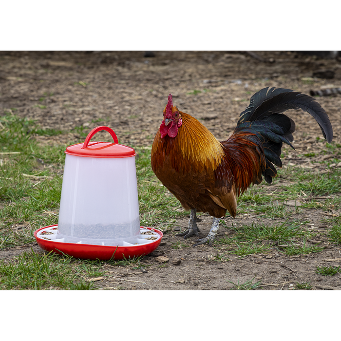 Poultry Feeder 3kg - Pack of 3 | AFT033