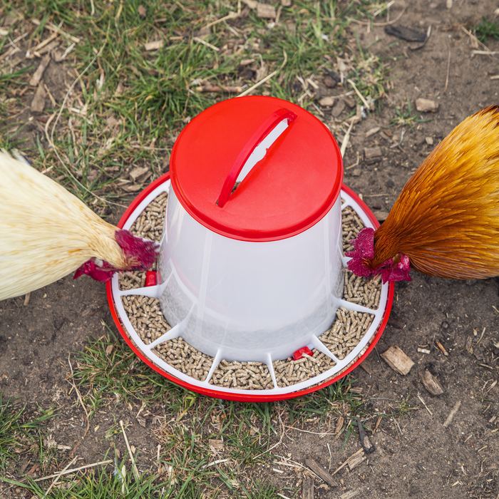 Poultry Feeder 3kg | AFT03