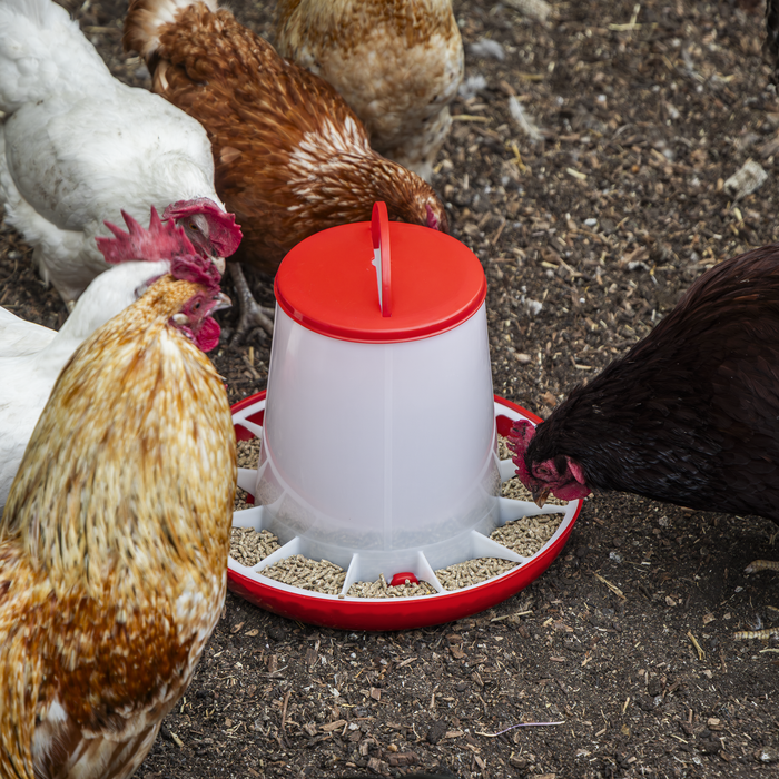 Poultry Feeder 6kg | AFT04