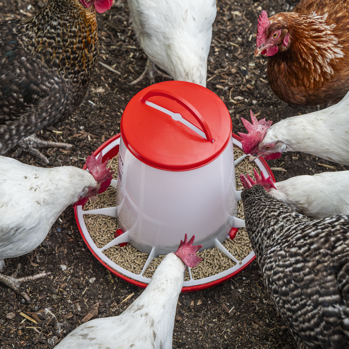 Poultry Feeder 6kg | AFT04