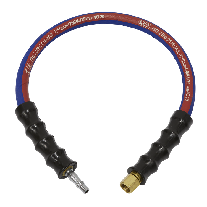 Air Leader Hose with Tailpiece & 1/4"BSP Union 600mm x 10mm | AH2R/38