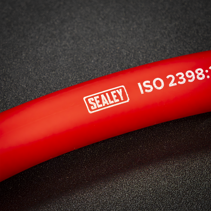 Air Hose with 1/4"BSP Unions 10m x 10mm | AHC1038