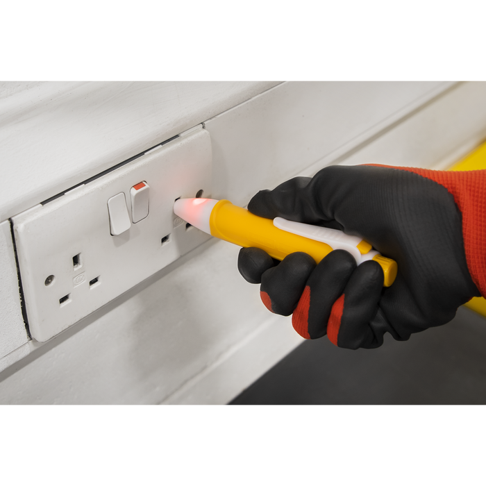 Premier Non-Contact Voltage Detector 80-1000V | AK1998