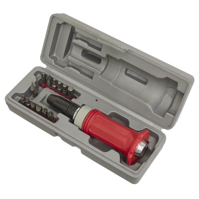 Premier Impact Driver Set with Protection Grip 15pc | AK2081