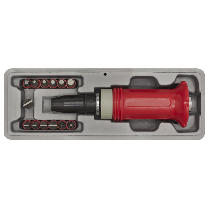 Premier Impact Driver Set with Protection Grip 15pc | AK2081