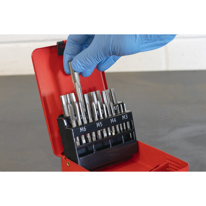 Metric Tap Set 21pc | AK3021