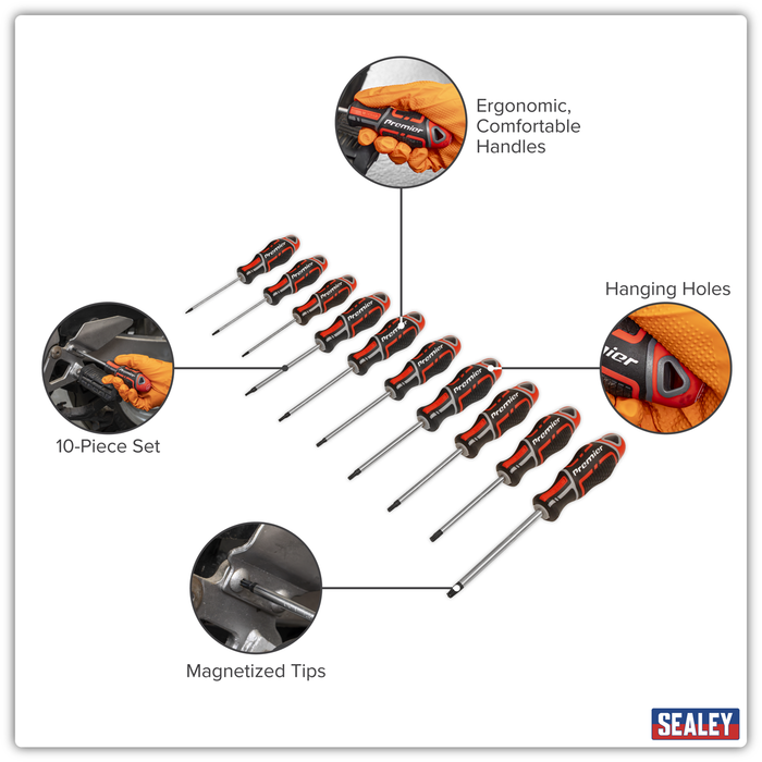 Premier GripMAX® TRX-Star* Screwdriver Set 10pc - Red | AK4324