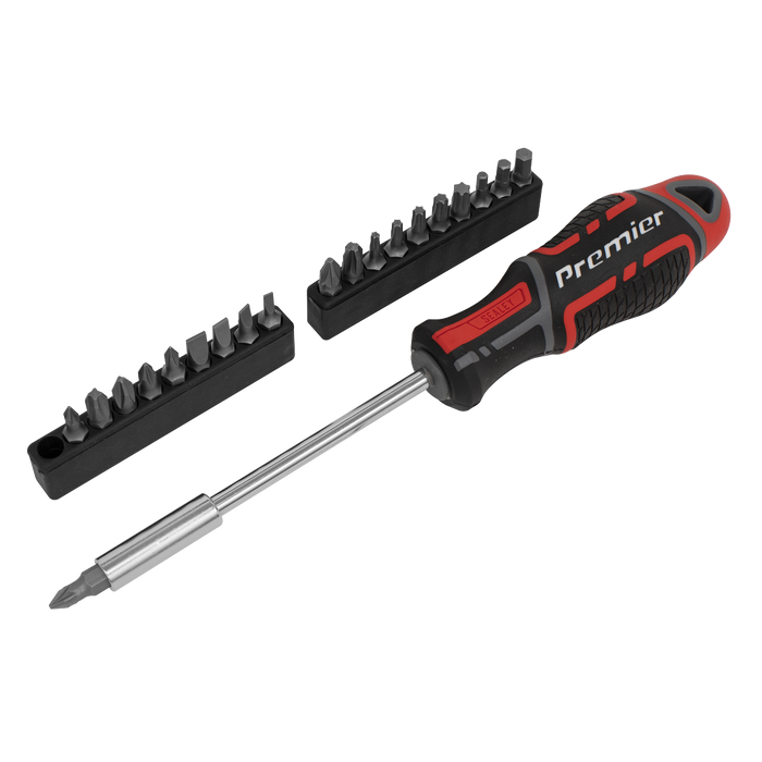 Premier GripMAX® Screwdriver & Bit Set 21pc | AK4329