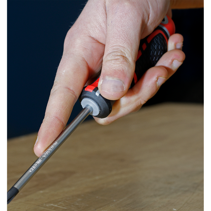 Premier GripMAX® Phillips Screwdriver #2 x 100mm | AK4361
