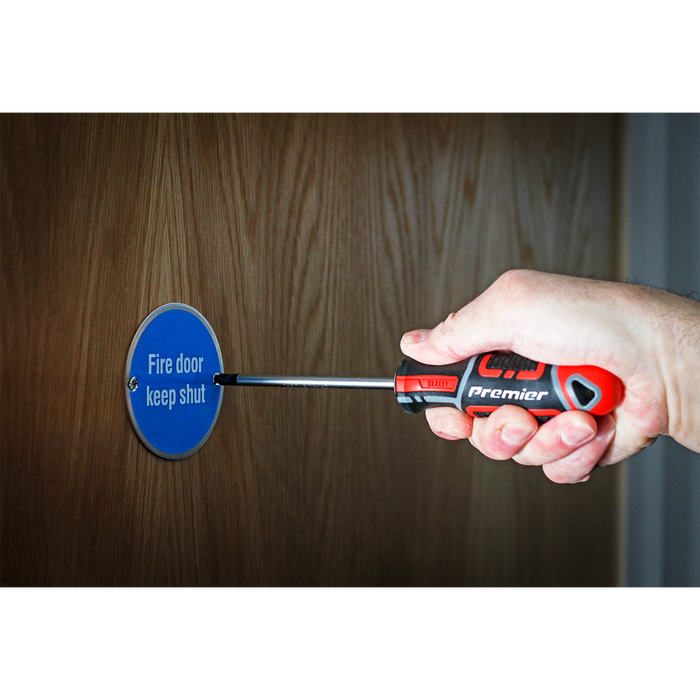 Premier GripMAX® Phillips Screwdriver #2 x 100mm | AK4361