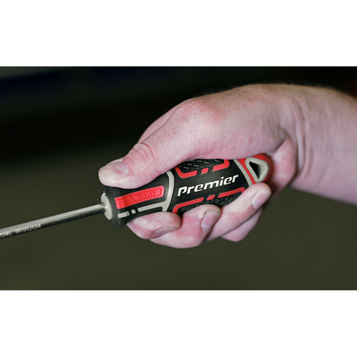 Premier GripMAX® Phillips Screwdriver #2 x 100mm | AK4361