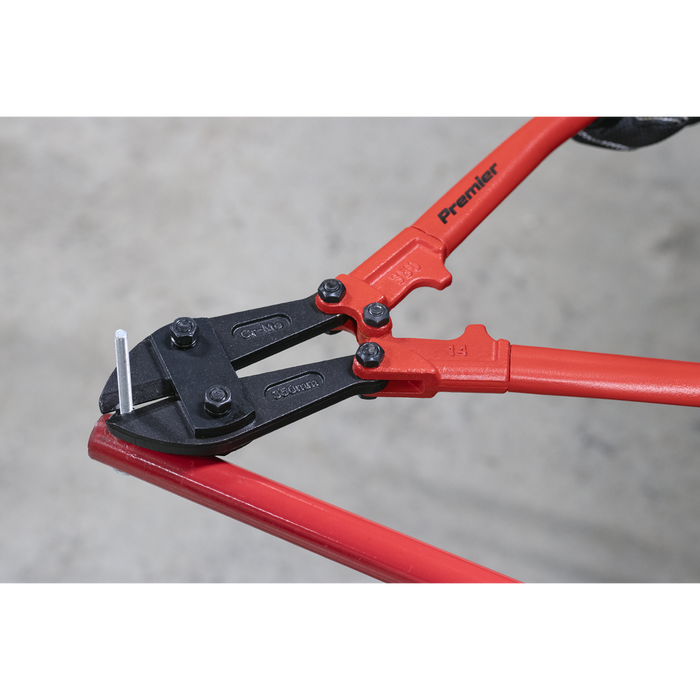Premier Bolt Cutters 350mm 7mm Capacity | AK507