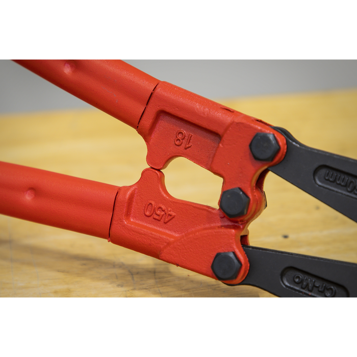 Premier Bolt Cutters 450mm 8mm Capacity | AK508