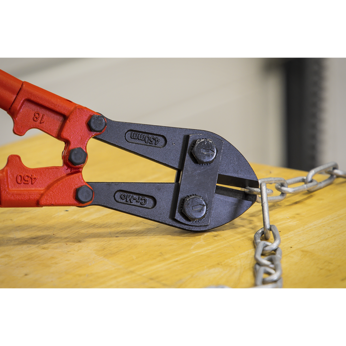 Premier Bolt Cutters 450mm 8mm Capacity | AK508
