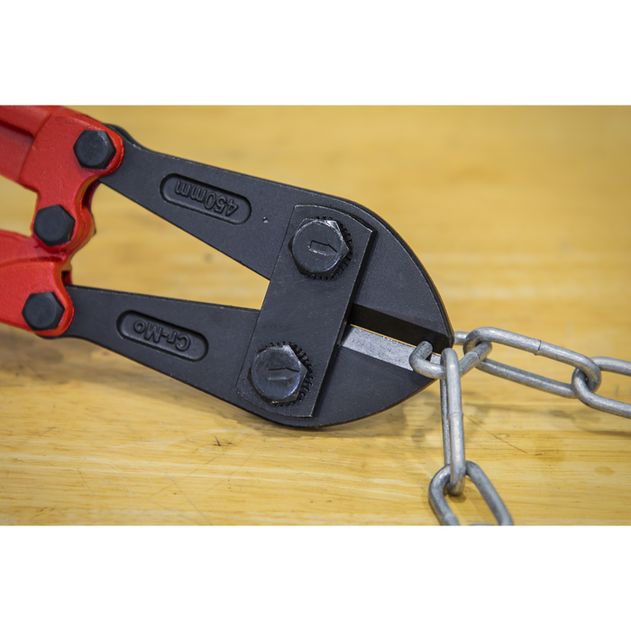 Premier Bolt Cutters 450mm 8mm Capacity | AK508