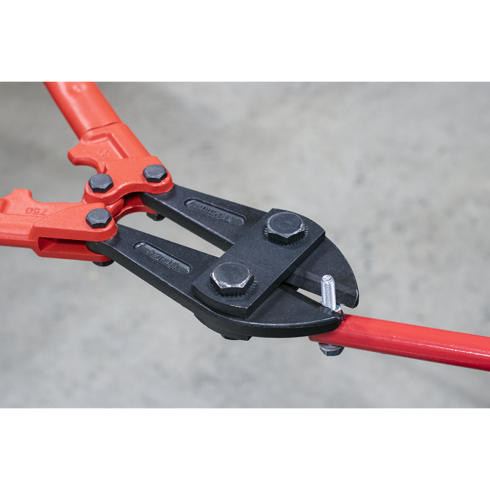 Premier Bolt Cutters 750mm 13mm Capacity | AK510
